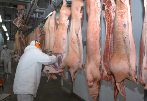 Nga tăng nhập khẩu thịt của Brazil ảnh 1