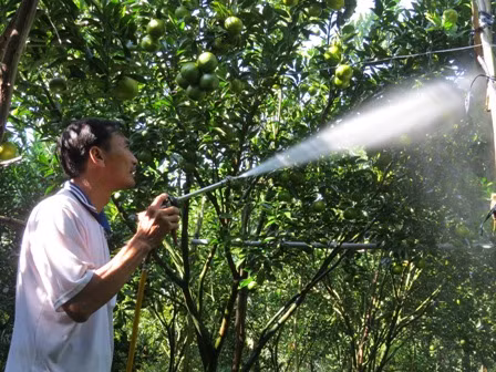 Kỹ sư 'chân đất' điều khiển tưới cây qua điện thoại di động ảnh 1