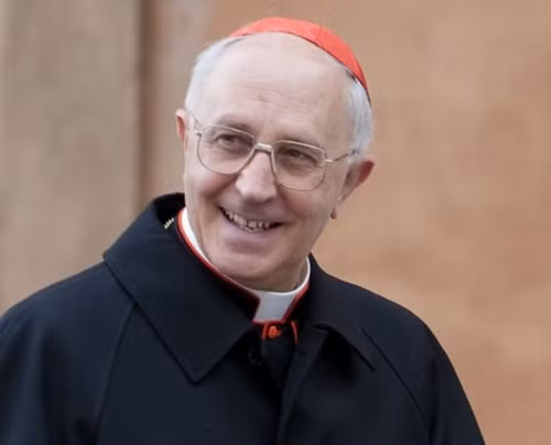 Bí thư Thành ủy Hà Nội tiếp Bộ trưởng Bộ Truyền giáo Tòa thánh Vatican ảnh 1