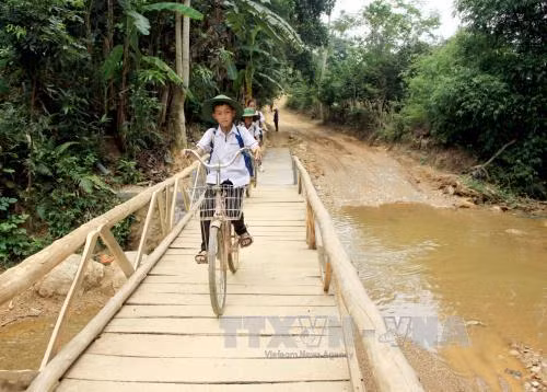 Nông dân nghèo làm cầu cho học sinh tới lớp ảnh 1