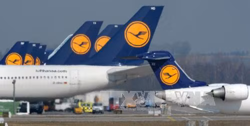 Lufthansa dừng bay tới Venezuela từ 17/6 ảnh 1
