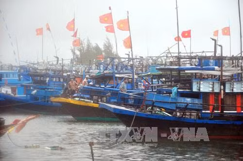 Người dân miền Trung khẩn trương chằng chống nhà cửa ảnh 4