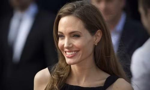 Angelina Jolie làm giảng viên thỉnh giảng ảnh 1