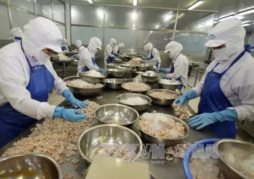 Xuất khẩu thủy sản dự báo tăng trưởng trong khó khăn ảnh 1
