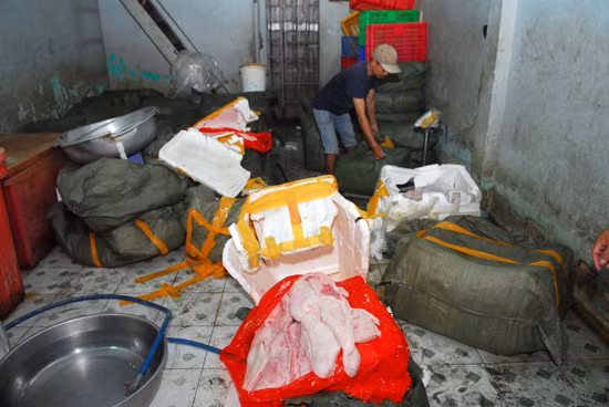 Bắt giữ hơn 2 tấn thịt heo bẩn tuồn vào TP HCM ảnh 1