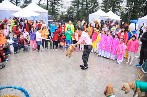 Hàng nghìn cư dân cuồng nhiệt với "Chào 2016" tại Vinhomes Royal City ảnh 1