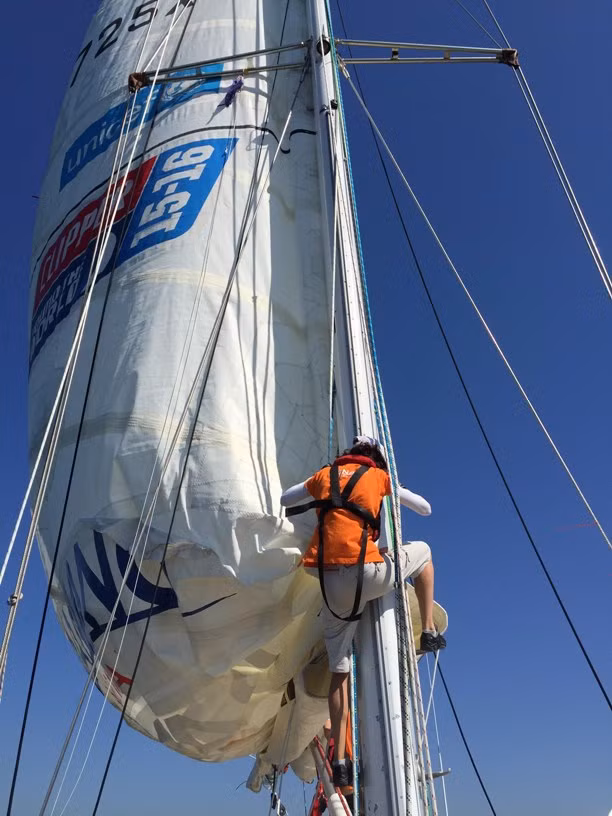 Trải nghiệm đi thuyền buồm Clipper trên vịnh Sydney ảnh 3
