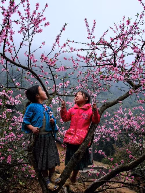 Nhiều tour mới dịp Tết nguyên đán 2016 ảnh 1