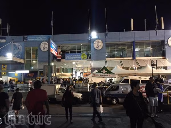 “Cuộc đua marathon” ở Chợ cá Sydney trước đêm Giáng sinh ảnh 2