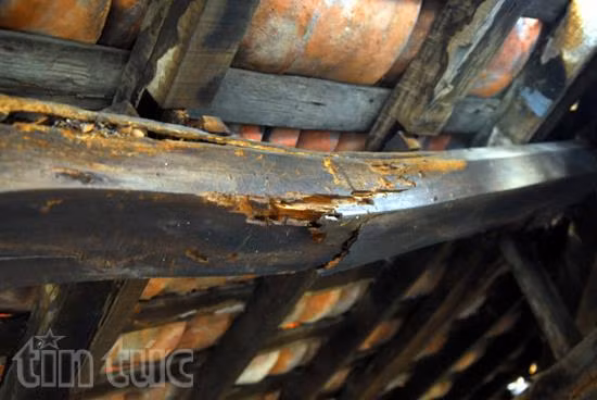 Di tích kiến trúc quốc gia hơn 300 tuổi có nguy cơ sụp đổ ảnh 8