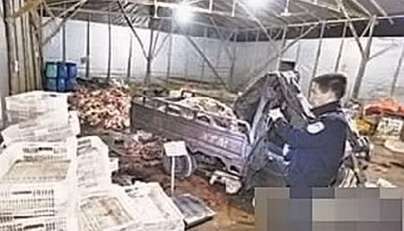 40 tấn thịt lợn chết bệnh tuồn ra thị trường ảnh 1