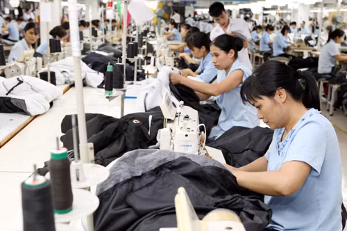 Lời giải cho bài toán xuất khẩu bền vững ảnh 1