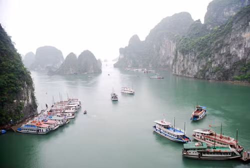 Thiết kế sản phẩm lưu niệm cho Di sản vịnh Hạ Long ảnh 1