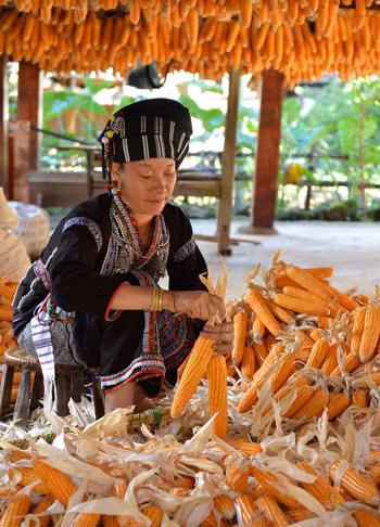 Khám phá văn hóa dân tộc Lự ở Lai Châu ảnh 5