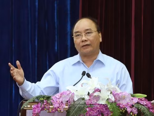 Rừng Tây Nguyên sẽ được “cứu sống” ảnh 1