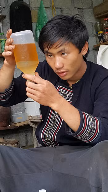 Làm giàu từ nguồn thảo dược quý của bản làng ảnh 1