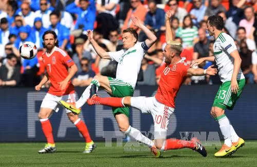 EURO 2016: Động lực kim tiền ảnh 1