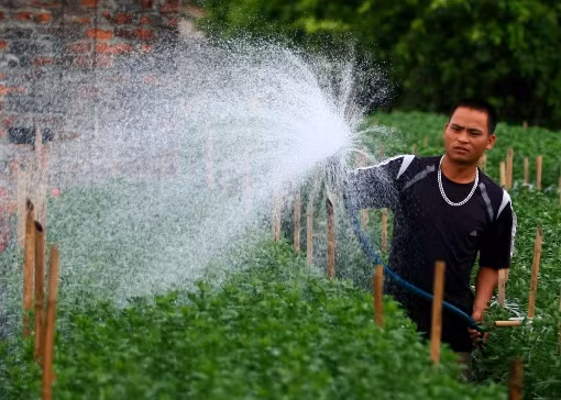Người Tây Tựu gồng mình cứu hoa ảnh 1