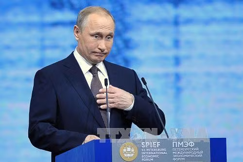 Tổng thống Putin: Nga không bị tác động bởi Brexit ảnh 1