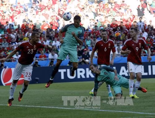 EURO 2016: Điều gì đang chờ đợi ở vòng 1/8? ảnh 1