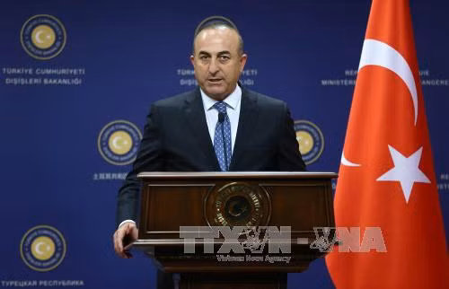 Thổ Nhĩ Kỳ đề xuất cùng Mỹ chống IS tại Syria ảnh 1