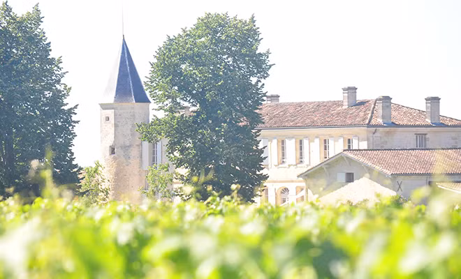 Cuộc sống ngọt ngào ở Saint-Emilion ảnh 1