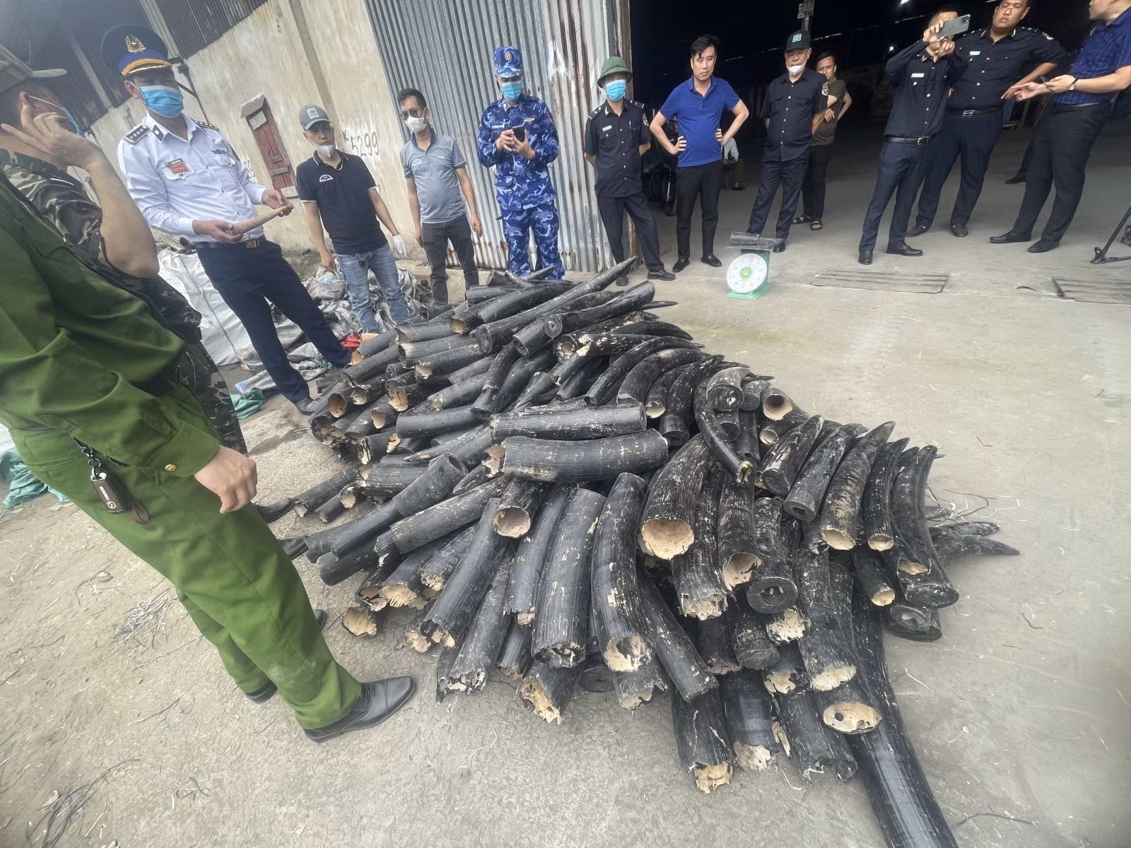 Chú thích ảnh