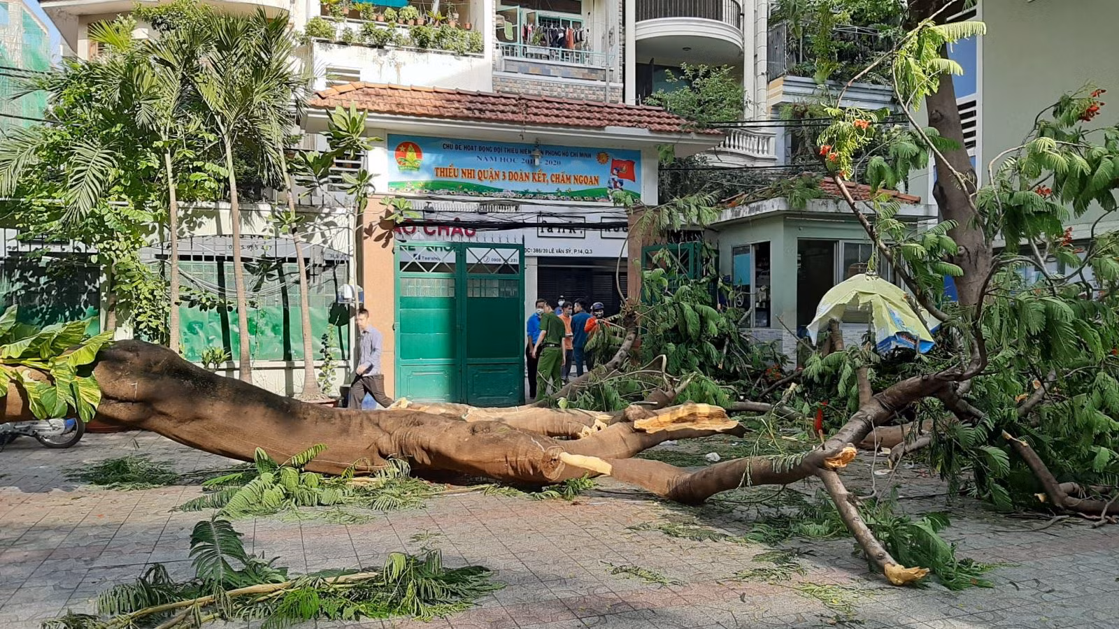 Chú thích ảnh