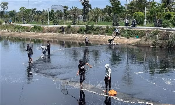 Khuyến cáo không sử dụng cá chết hàng loạt tại hồ điều hòa Hồ Sơn