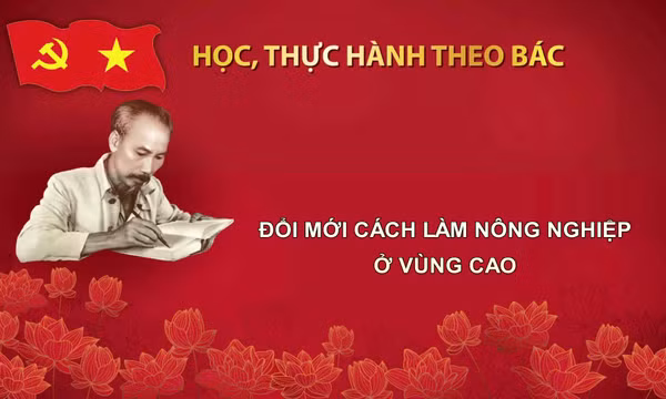 Học, thực hành theo Bác: Đổi mới cách làm nông nghiệp ở vùng cao