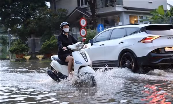 TP Hồ Chí Minh chủ động ứng phó đỉnh triều vượt mức báo động III 