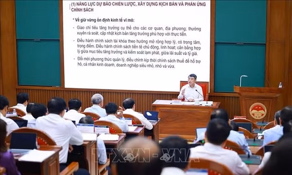 Thủ tướng Lê Minh Hưng trao đổi Chuyên đề về nâng cao năng lực điều hành của Chính phủ