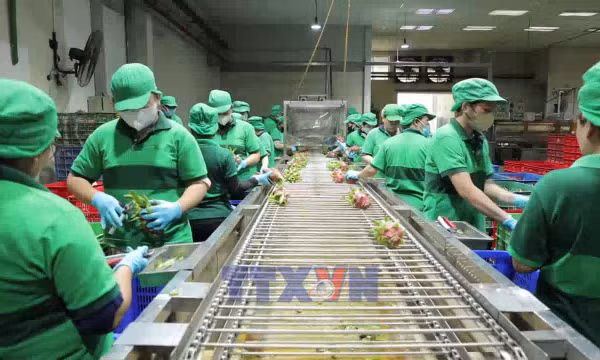 Công nghệ giúp tăng sức cạnh tranh cho nông sản Việt