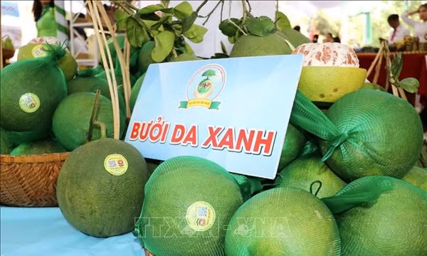 EU liên tục nâng chuẩn, nông sản Việt thay đổi từ vùng sản xuất