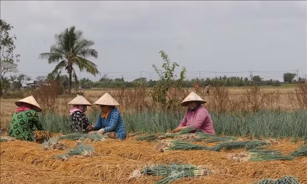 Trao sinh kế, tạo đà thoát nghèo bền vững