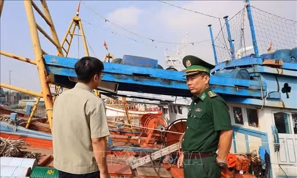 Yêu cầu hoàn thành cài đặt hệ thống eCDT cho tàu cá trước ngày 30/10