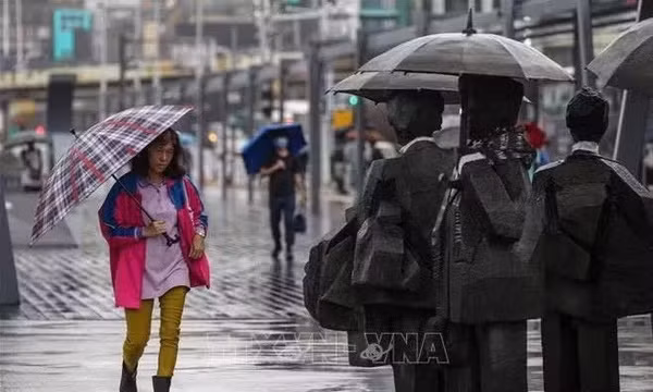 Bão Champi gây hỗn loạn hàng không Đông Á, hàng trăm chuyến bay bị hủy