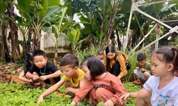 Gia Lai đặt mục tiêu giảm tỷ suất tử vong trẻ dưới 5 tuổi 
