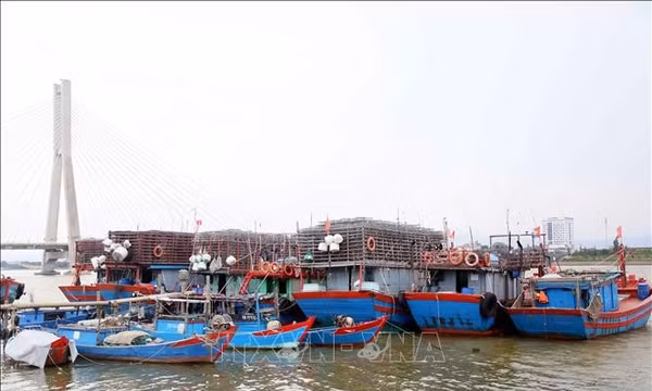 Khẩn trương đưa tàu thuyền vào nơi tránh trú áp thấp nhiệt đới