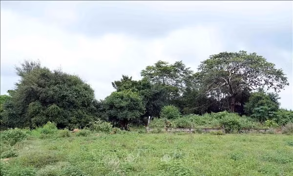 Người dân mong di tích thờ Chúa Tiên Nguyễn Hoàng sớm được phục dựng