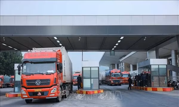 Xây dựng hệ sinh thái xuất khẩu số, tạo sức bật cho hàng Việt
