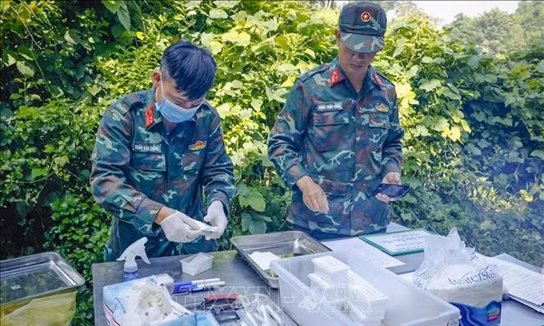 Quy tập 10 hài cốt liệt sĩ tại Điện Biên Phủ