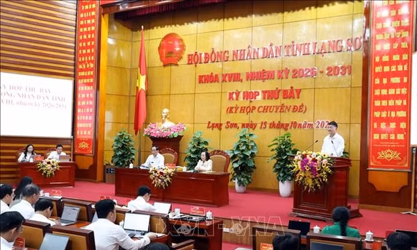Quy định về chức năng, nhiệm vụ, quyền hạn và mối quan hệ công tác của Đảng ủy HĐND tỉnh, thành phố