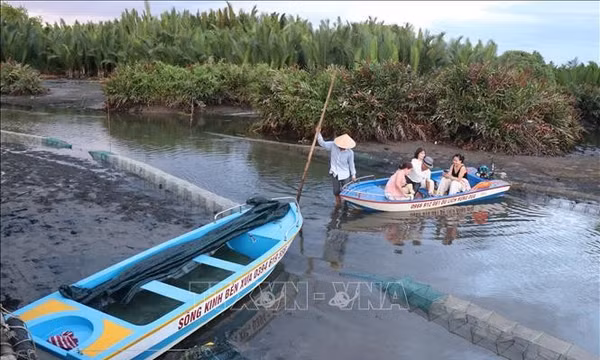 Du lịch rừng dừa nước Tịnh Khê 'thấp thỏm' theo thủy triều