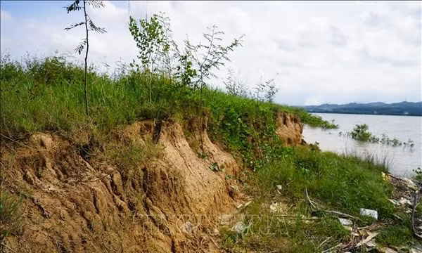 Sạt lở bờ sông, người dân Quảng Trị lo mất đất