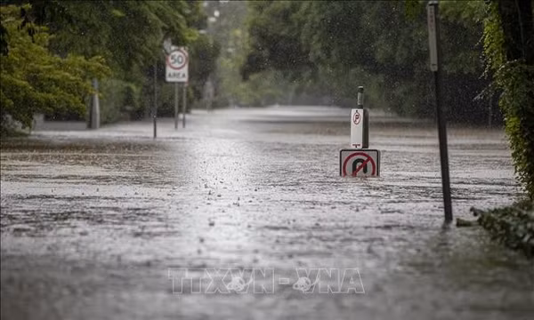 Australia đóng cửa trường học do lũ quét