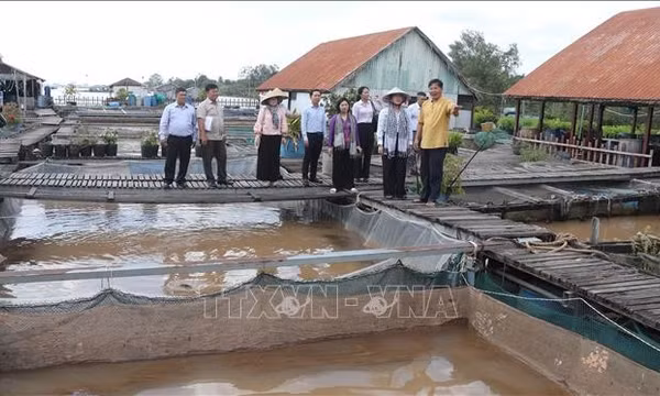 Tạo điều kiện để thúc đẩy phát triển du lịch ở Cồn Sơn