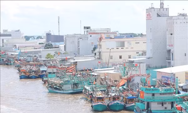 Khắc phục 'thẻ vàng' IUU: Gỡ điểm nghẽn, xử lý triệt để vi phạm