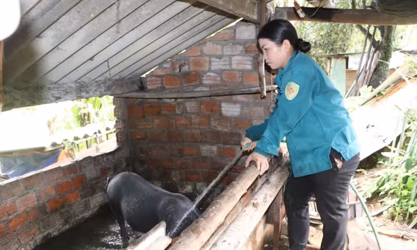 Mở rộng cơ hội việc làm cho lao động miền núi, vùng dân tộc