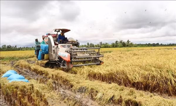 Cầu nối phát triển kinh tế nông thôn